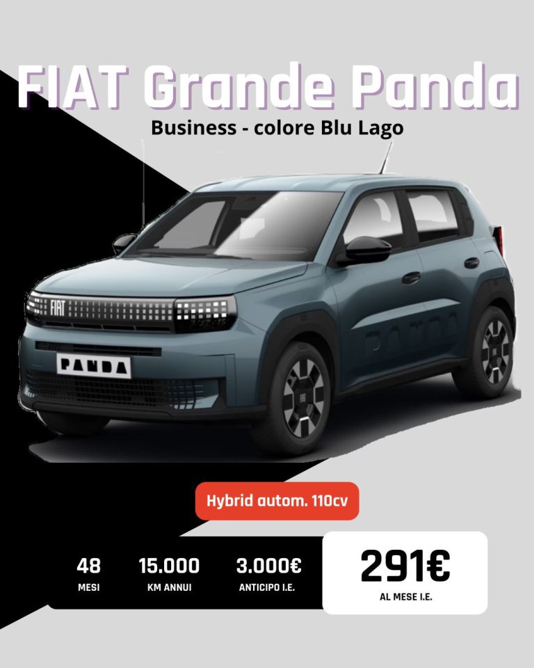 Fiat Grande Panda Business
